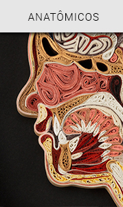 Visualizar, Anatômicos