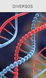 Visualizar, Diversos