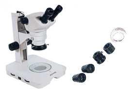 Microscópio Estereoscópico com Zoom