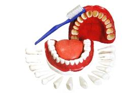 Arcada com Todos os Dentes Removíveis